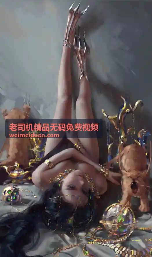 欧美精选老司机精品无码免费视频